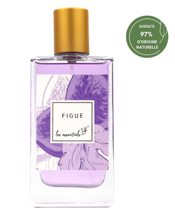 FIGUE