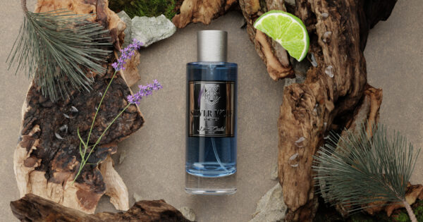SILVER WOLF – Image 2
